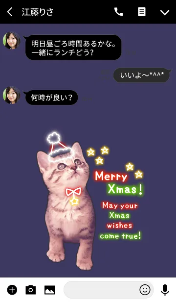 [LINE着せ替え] Pretty Christmas Cats ☆3 ＠冬特集の画像3