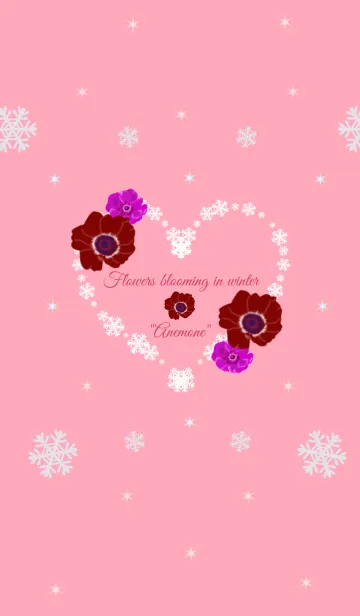 [LINE着せ替え] 冬に咲く花 "アネモネ" 赤の画像1