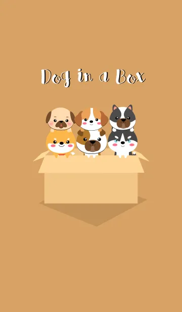 [LINE着せ替え] Dog in The Box Themeの画像1