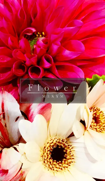 Flower 7 -MEKYM-の着せ替えメイン画像