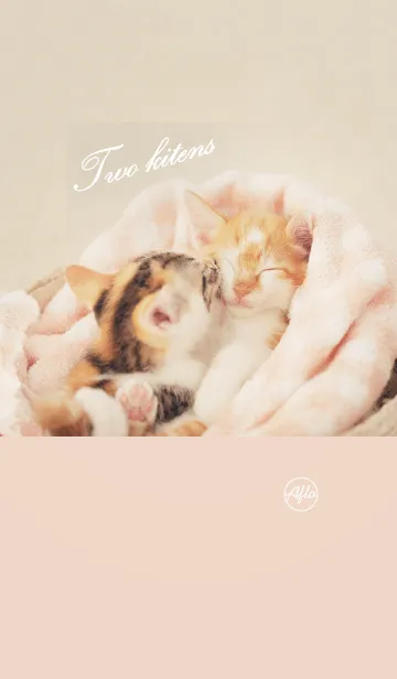 Two kitensの着せ替えメイン画像