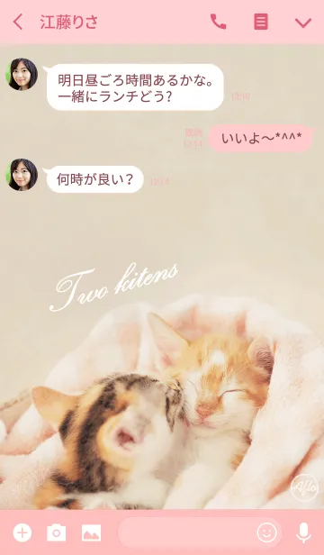 [LINE着せ替え] Two kitensの画像3