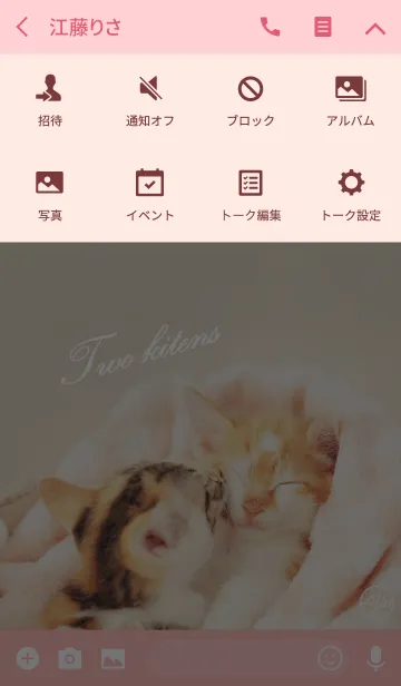 [LINE着せ替え] Two kitensの画像4