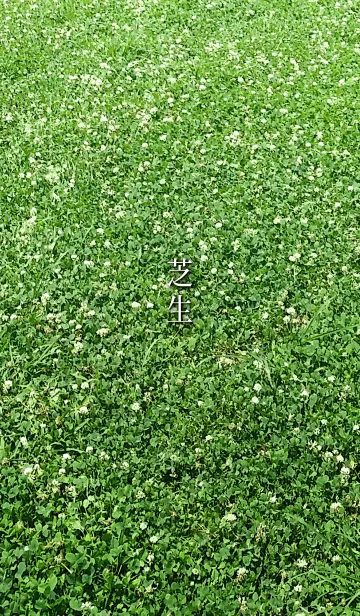 [LINE着せ替え] 芝生－Lawn－の画像1