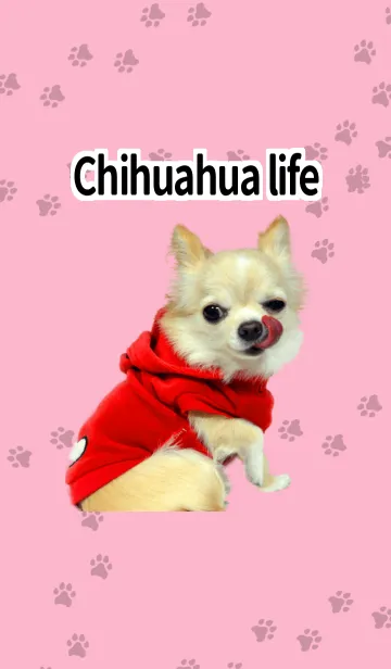 [LINE着せ替え] チワワ的生活 赤色の画像1