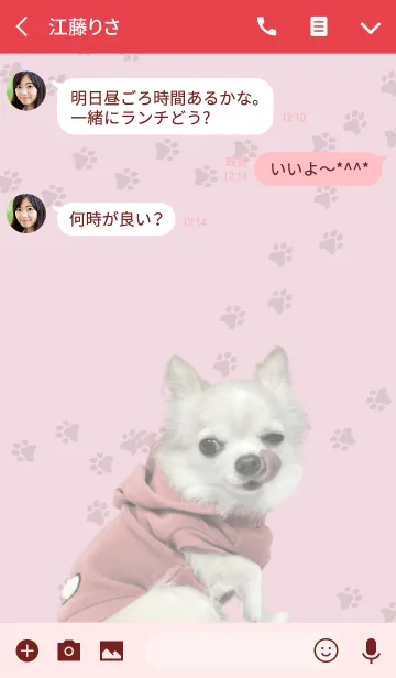 [LINE着せ替え] チワワ的生活 赤色の画像3