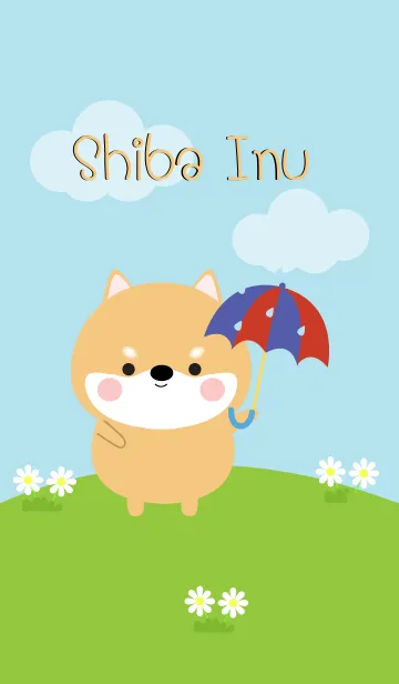 [LINE着せ替え] So Cute Shiba Inu Theme (jp)の画像1