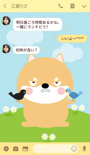 [LINE着せ替え] So Cute Shiba Inu Theme (jp)の画像3