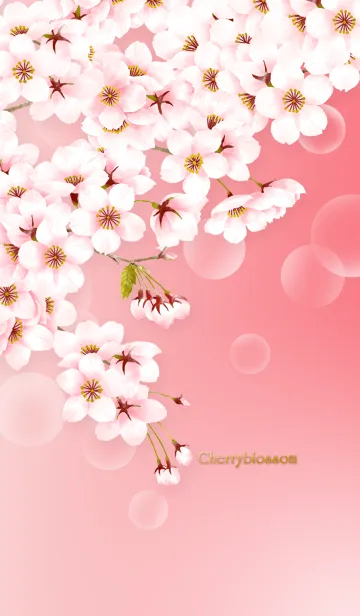[LINE着せ替え] 桜咲く幸福(紅)の画像1