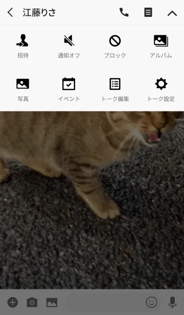 [LINE着せ替え] 野良猫！の画像4