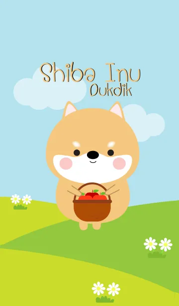 [LINE着せ替え] Lovely Shiba Inu Duk Dik Theme (jp)の画像1