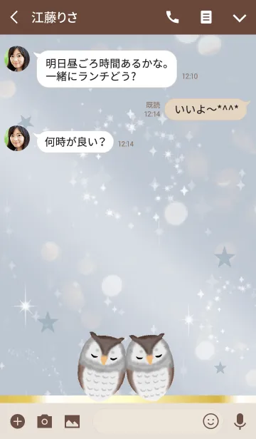[LINE着せ替え] ベージュ＆ブルー / 福を呼ぶフクロウの画像3