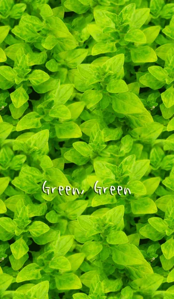 [LINE着せ替え] Green, Greenの画像1