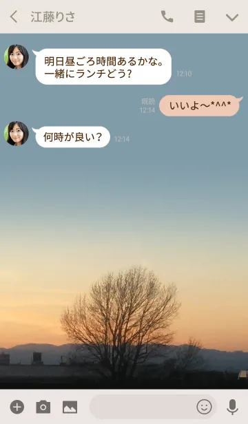 [LINE着せ替え] 夕暮れ時の木の画像3