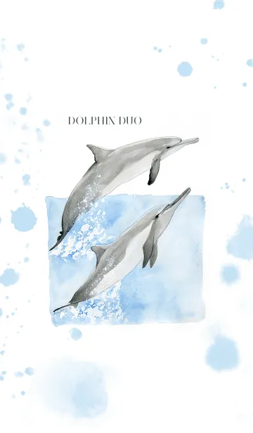 [LINE着せ替え] Dolphin Duoの画像1