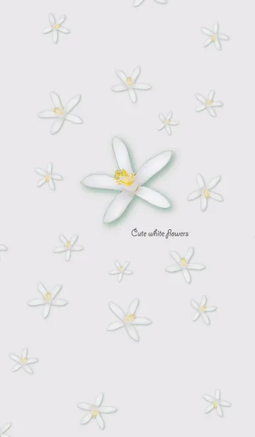 [LINE着せ替え] Cute white flowersの画像1