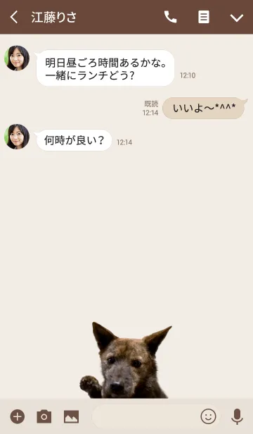 [LINE着せ替え] 甲斐犬BENIきせかえの画像3