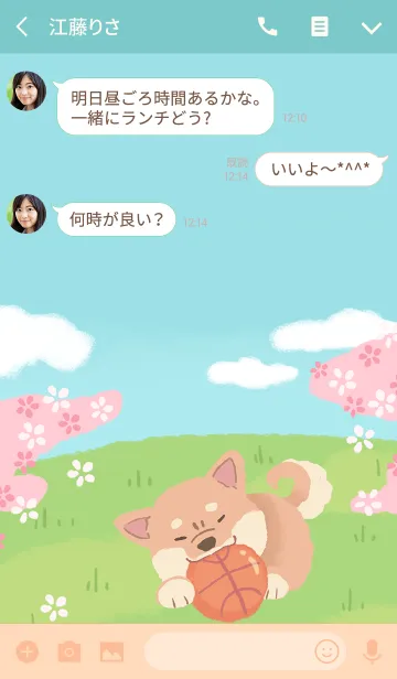 [LINE着せ替え] 柴犬ハチと桜2の画像3
