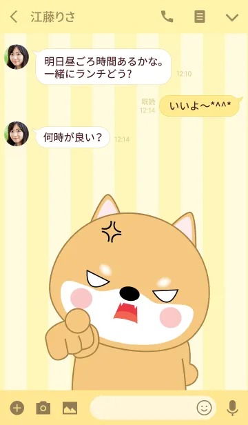 [LINE着せ替え] Angry Shiba Inu Icon (jp)の画像3