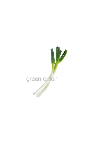 [LINE着せ替え] green onion (長ネギ)の画像1