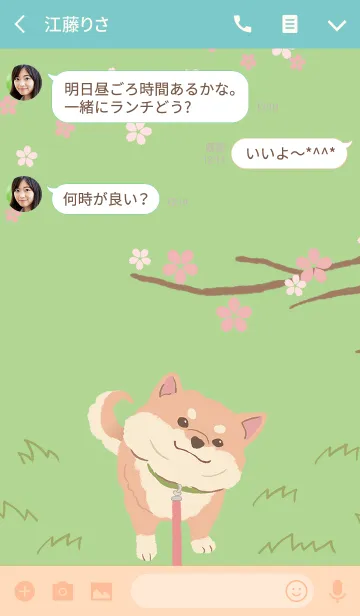 [LINE着せ替え] 柴犬ハチと桜の画像3