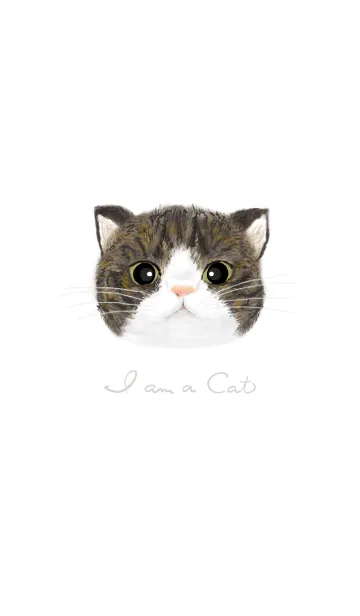 [LINE着せ替え] I am a cat - ねこ2の画像1
