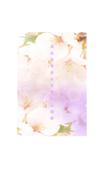 ふんわりSAKURA気分-パープル-の着せ替えメイン画像