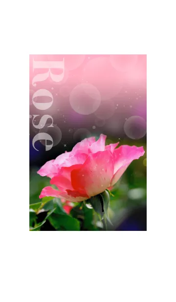 [LINE着せ替え] SWEETPINK ROSE GARDENの画像1