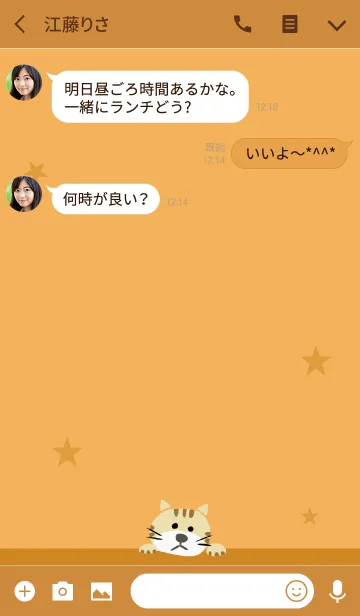 [LINE着せ替え] オレンジ / ネコの画像3