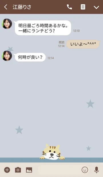 [LINE着せ替え] ベージュ＆ブルー / ネコの画像3