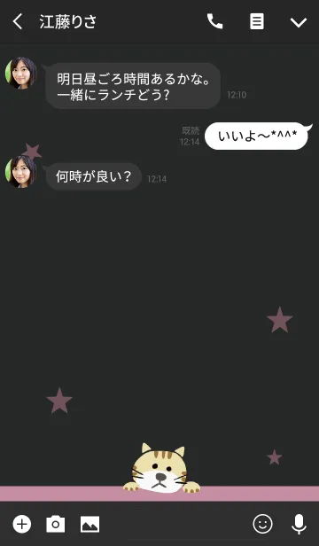 [LINE着せ替え] ブラック＆ピンク / ネコの画像3