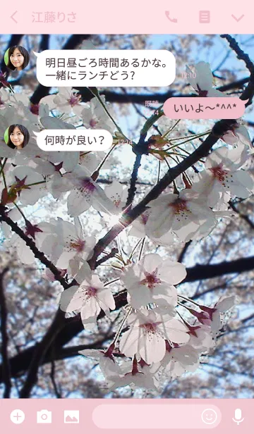 [LINE着せ替え] 桜と青い空の画像3