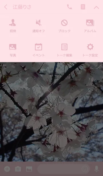 [LINE着せ替え] 桜と青い空の画像4