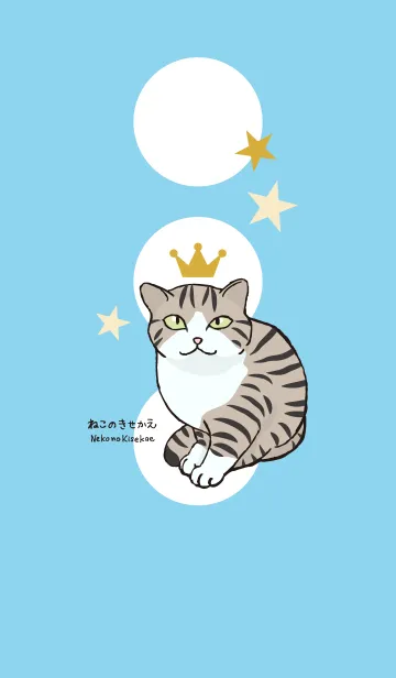 [LINE着せ替え] ねこのきせかえ キジトラ白の画像1