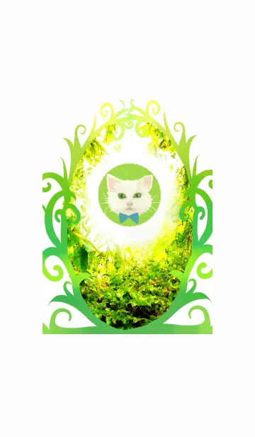 [LINE着せ替え] 緑と白い猫の画像1
