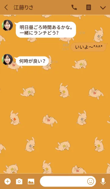 [LINE着せ替え] オレンジ / 風水 全幸運のウサギの画像3