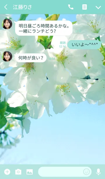 [LINE着せ替え] 若葉と桜の画像3