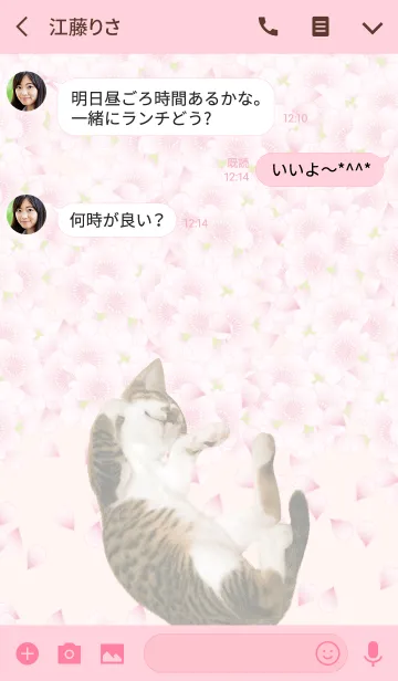 [LINE着せ替え] 桜と猫の画像3