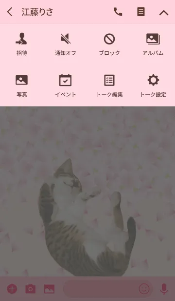[LINE着せ替え] 桜と猫の画像4