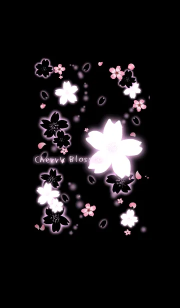 [LINE着せ替え] Cherry blossoms Sakuraの画像1