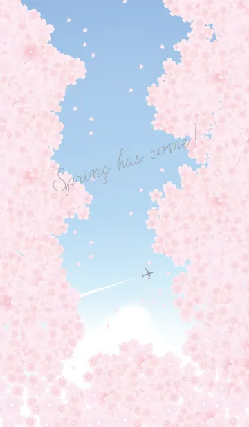 [LINE着せ替え] Spring has come！(cherry blossoms)の画像1