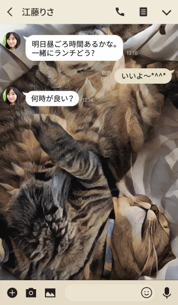 [LINE着せ替え] ころがる猫の画像3