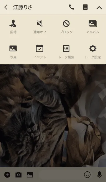 [LINE着せ替え] ころがる猫の画像4