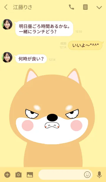 [LINE着せ替え] Angry Shiba Inu Face Theme (jp)の画像3