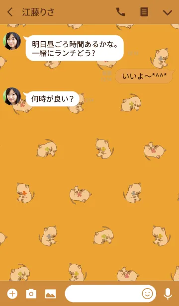 [LINE着せ替え] オレンジ / 風水 全幸運のネコの画像3