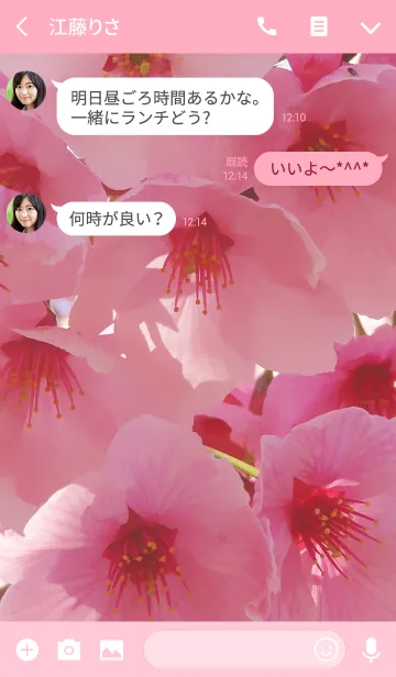 [LINE着せ替え] SAKURA〜桜の画像3