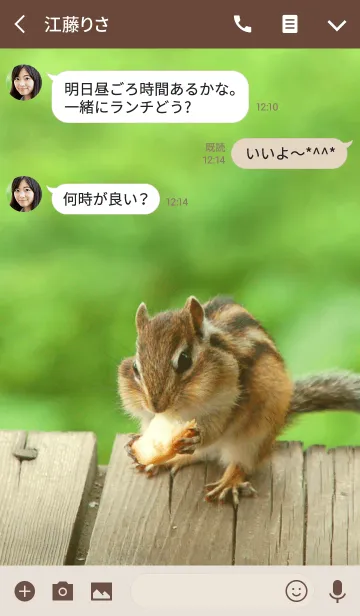 [LINE着せ替え] Funny and cute squirrel theme.の画像3