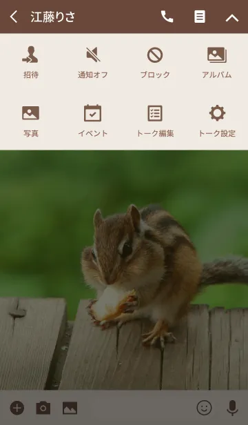 [LINE着せ替え] Funny and cute squirrel theme.の画像4