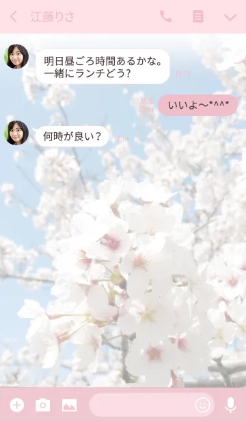[LINE着せ替え] 桜7(シンプル)の画像3