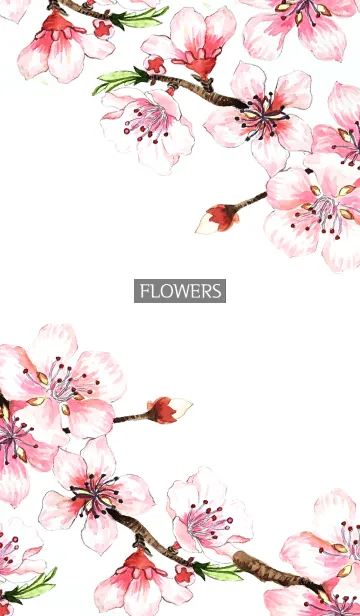 [LINE着せ替え] water color flowers_647の画像1